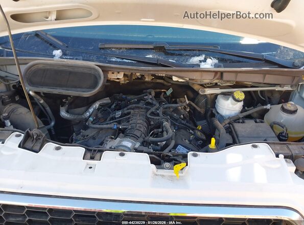 1FBAX2YG0PKA91206 2023 FORD PASSENGER White უკანა ხედი