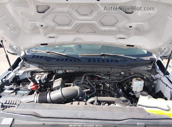 1FD7X2AAXRED36974 2024 FORD F-250 White Вид ззаду