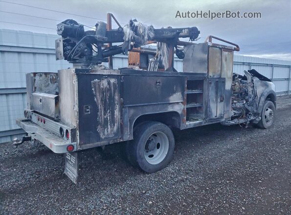 1FDUF4GT0REC93501 2024 FORD F450 White Հետևի աջ