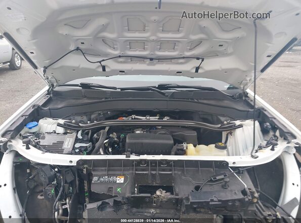 1FM5K8AB5MGA42297 2021 FORD POLICE INTERCEPTOR White Widok z tyłu