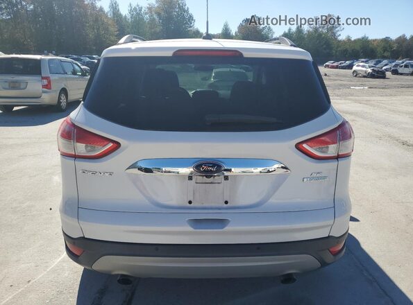 1FMCU0GX5GUB52276 2016 FORD ESCAPE White Widok z tyłu