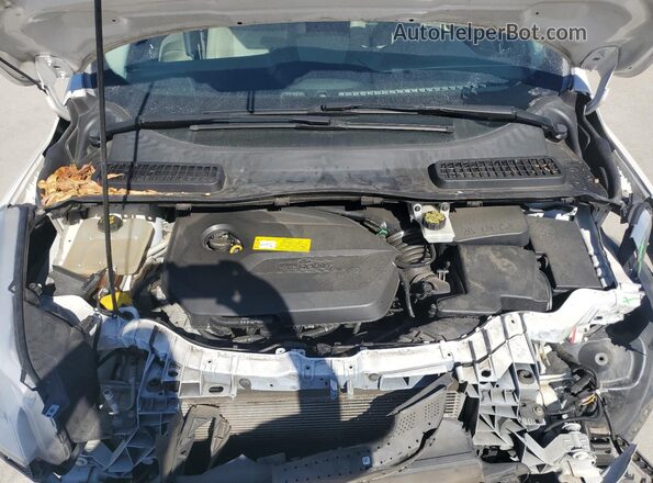 1FMCU0GX5GUB52276 2016 FORD ESCAPE White Widok wnętrza z tyłu