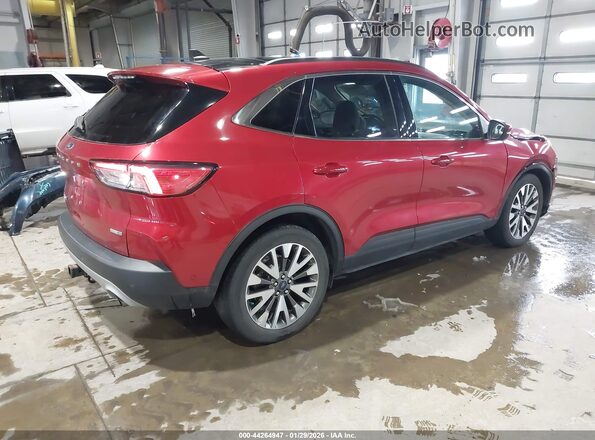 1FMCU9J94LUB30214 2020 FORD ESCAPE Red უკანა მარჯვენა