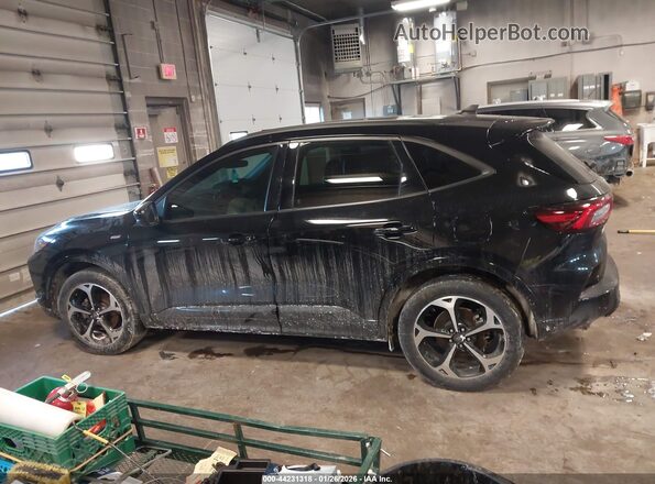 1FMCU9NA3PUB45586 2023 FORD ESCAPE Black 