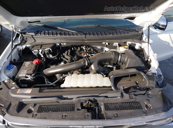 1FMJK1M87REB16635 2024 FORD EXPEDITION White უკანა ხედი