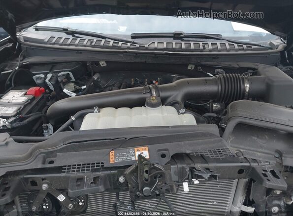 1FMJU1J87SEA05183 2025 FORD EXPEDITION Black Rear view