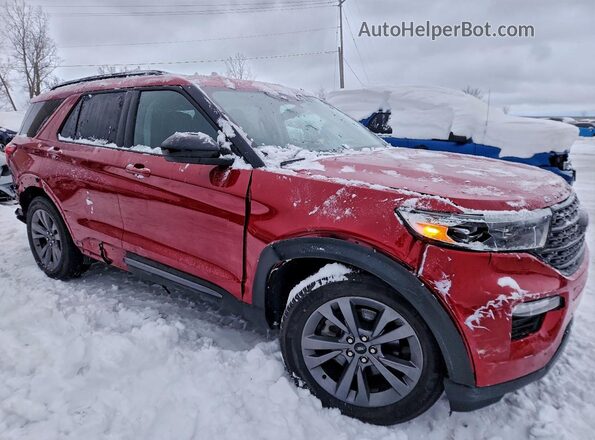 1FMSK8DH8RGA83632 2024 FORD FORD EXPLORER Red Передня права чверть