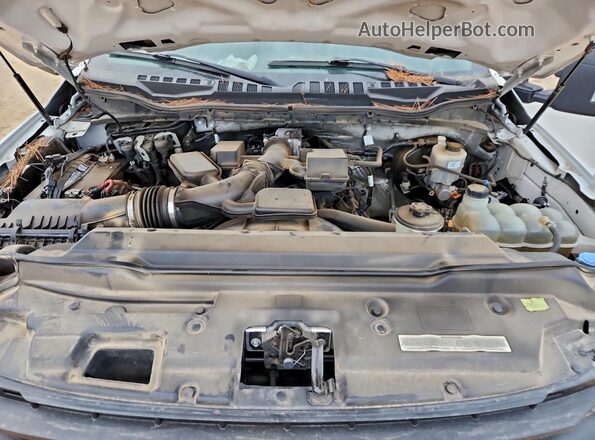 1FT7W2B68LEE09347 2020 FORD F250 White Вид задньої частини салону
