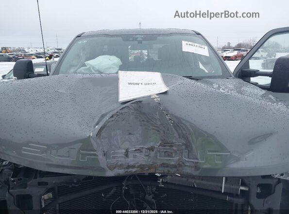 1FT7W2BT1SEC43211 2025 FORD F-250 Gray Vista trasera