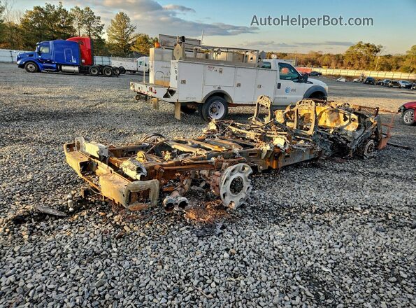 1FT8W2BM2REE86274 2024 FORD F250 Burn Tył prawy