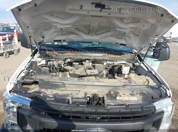 1FTBF2A6XLEC49581 2020 FORD F-250 White Rear view