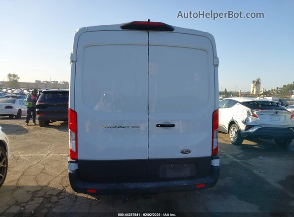 1FTBR1C84PKA90452 2023 FORD TRANSIT-250 Белый 