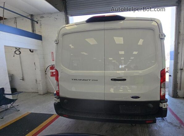 1FTBR1C87LKB45406 2020 FORD TRANSIT-250  