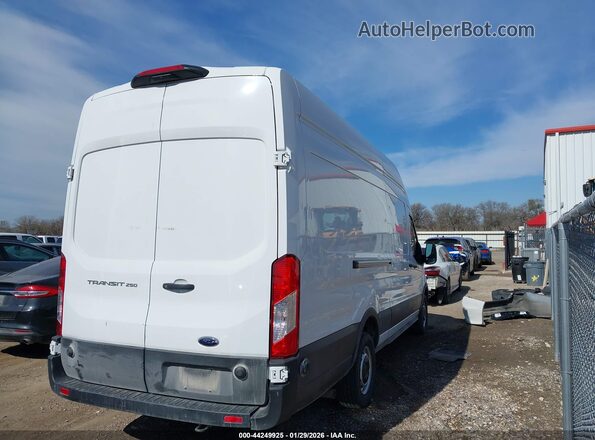 1FTBR3X88RKA72223 2024 FORD TRANSIT-250 White უკანა მარჯვენა