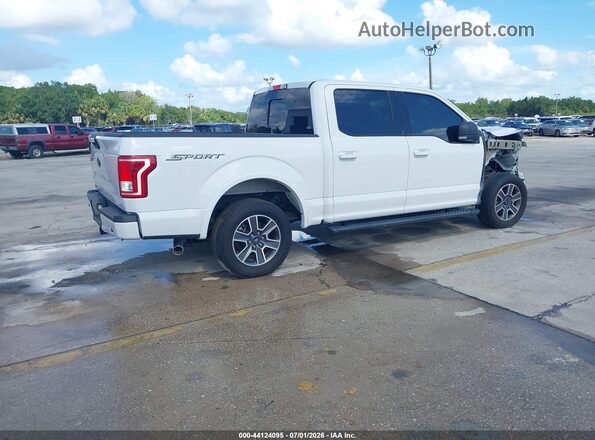 1FTEW1CF6HFB61195 2017 FORD F150 White Հետևի աջ
