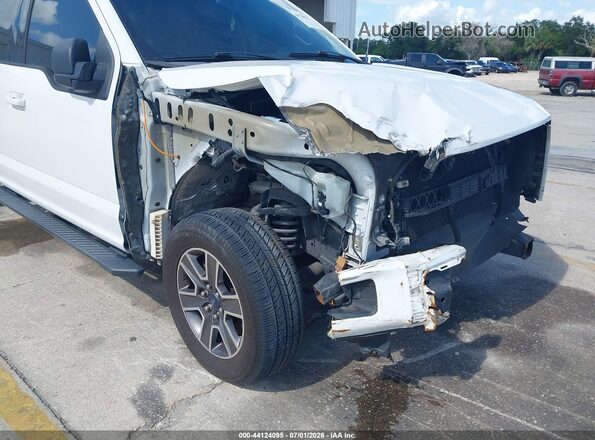 1FTEW1CF6HFB61195 2017 FORD F150 White Դիմացի տեսք