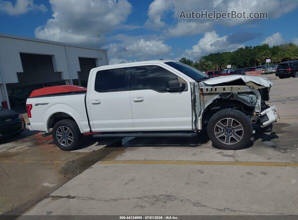 1FTEW1CF6HFB61195 2017 FORD F150 White Սալոնի 360 աստիճան տեսք