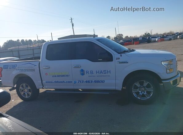 1FTEW1CF7GKF97950 2016 FORD F150 Белый Вид задней части салона