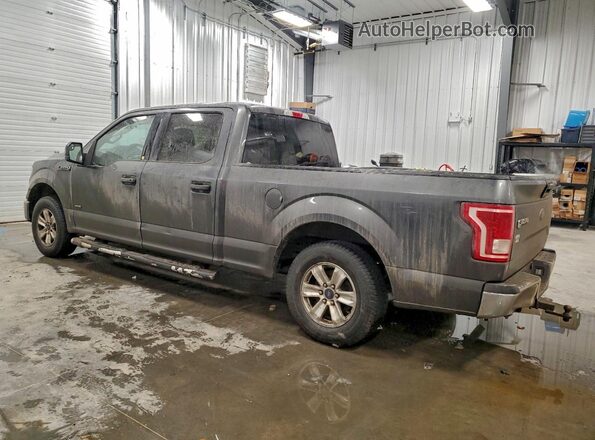 1FTEW1CP9HFC15789 2017 FORD F150 Gray 