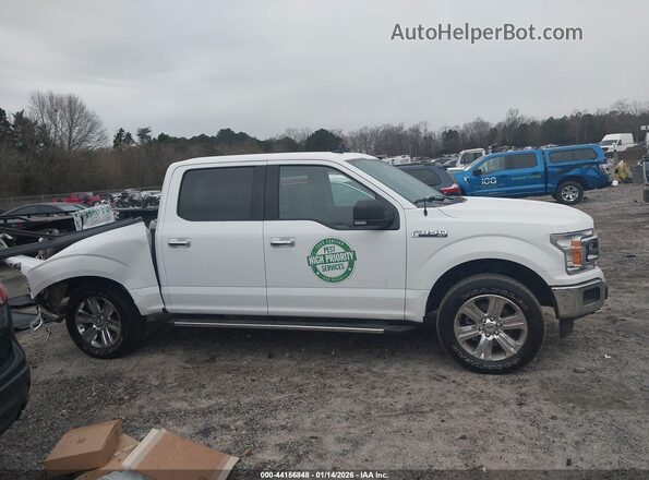 1FTEW1E43LFC38013 2020 FORD F150 White Rear interior view