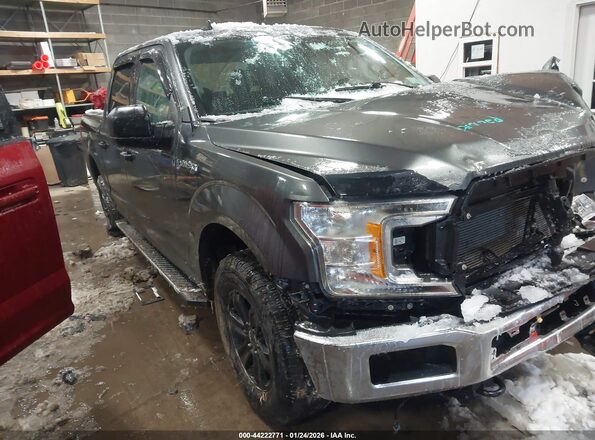 1FTEW1E46LFB21476 2020 FORD F150 Gray 