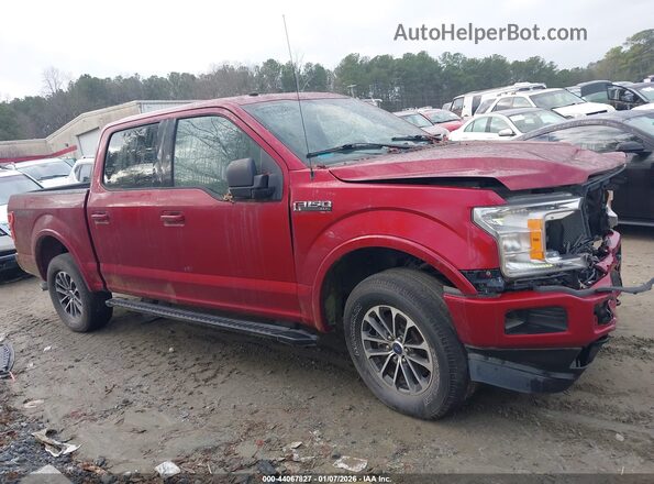 1FTEW1EP4JFC13385 2018 FORD F150 Red Vista interior trasera