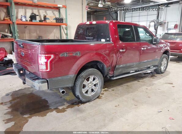 1FTEW1EP7GFA36601 2016 FORD F150 Red Tył prawy