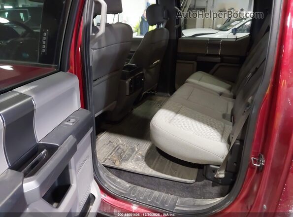 1FTEW1EP7GFA36601 2016 FORD F150 Red Widok naklejki z numerem VIN