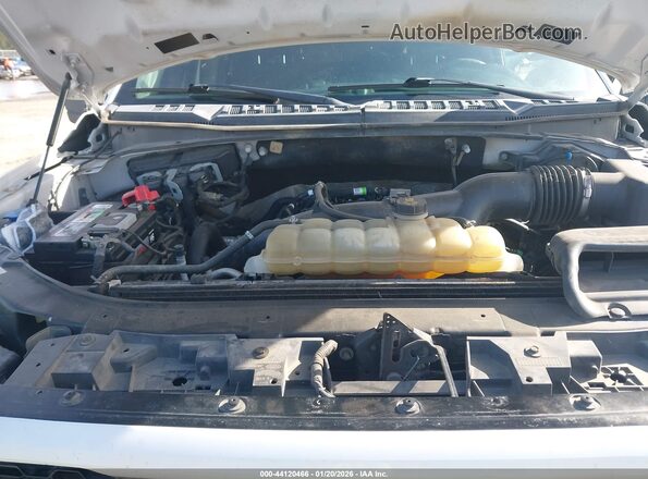 1FTEW1EP8KFB87990 2019 FORD F150 Белый Вид сзади