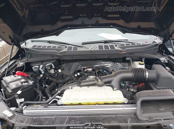 1FTEX2KP4SKE02067 2025 FORD F150 Gray Հետևի տեսք
