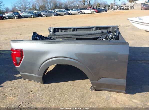 1FTEX2KP4SKE02067 2025 FORD F150 Gray 