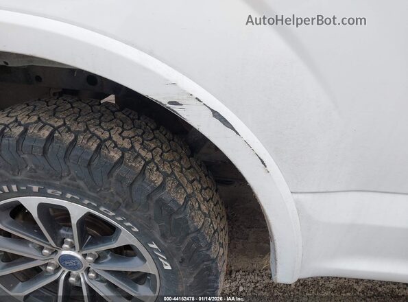 1FTFW1E41KFB18200 2019 FORD F150 White Front view