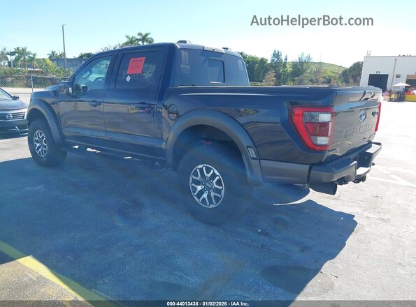 1FTFW1RG0PFA63508 2023 FORD F150 Dark Blue უკანა მარცხენა