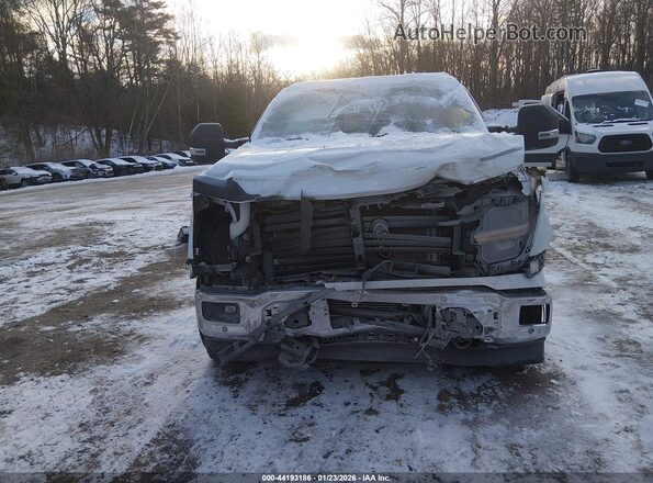 1FTFW3L84RKF09439 2024 FORD F150 White Vista frontal