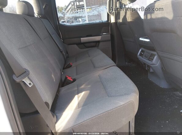 1FTFW3L84RKF09439 2024 FORD F150 White Vista de la etiqueta del VIN