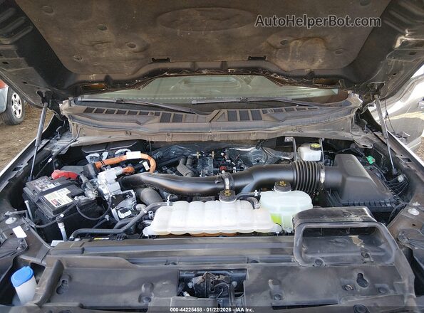 1FTFW3LD2RFA41104 2024 FORD F150 Gray Rear view