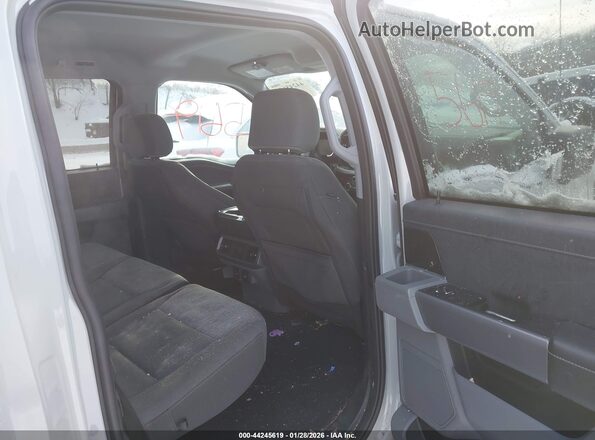 1FTVW1EV8PWG35120 2023 FORD F-150 LIGHTNING Gray Widok naklejki z numerem VIN