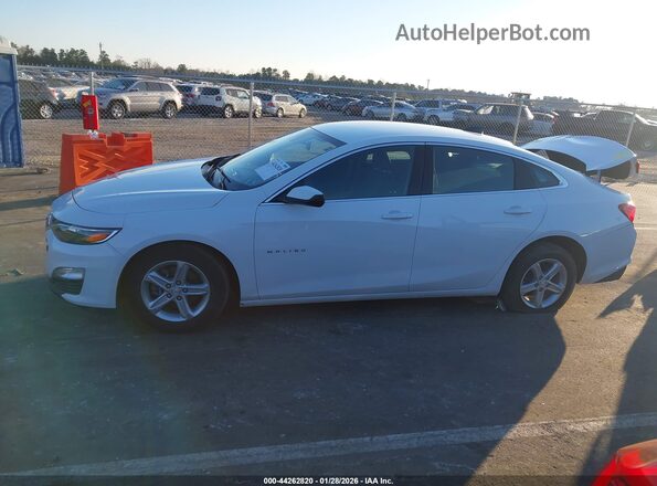 1G1ZC5ST6RF222886 2024 CHEVROLET MALIBU White 