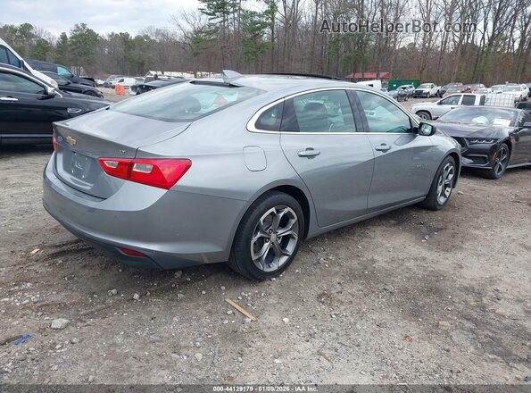 1G1ZD5ST4RF188086 2024 CHEVROLET MALIBU Gray უკანა მარჯვენა