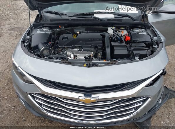 1G1ZD5ST4RF188086 2024 CHEVROLET MALIBU Gray უკანა ხედი