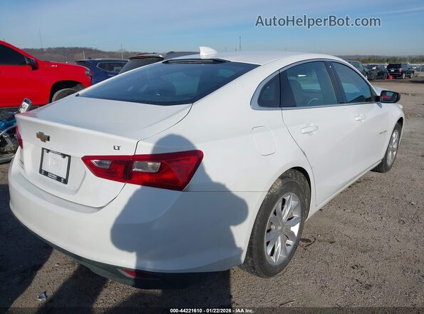 1G1ZD5STXPF207561 2023 CHEVROLET MALIBU White Tył prawy