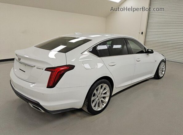 1G6DM5RK4P0127886 2023 CADILLAC CT5 White Հետևի աջ