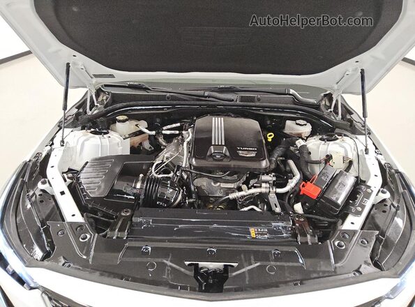 1G6DM5RK4P0127886 2023 CADILLAC CT5 White 