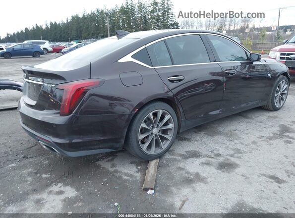 1G6DN5RK2M0112246 2021 CADILLAC CT5 Burgundy Հետևի աջ