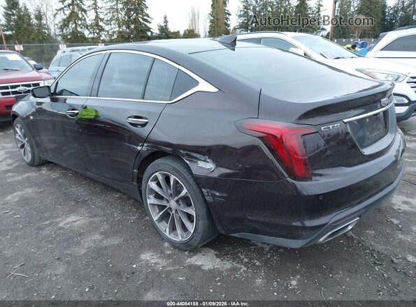 1G6DN5RK2M0112246 2021 CADILLAC CT5 Burgundy Հետևի ձախ
