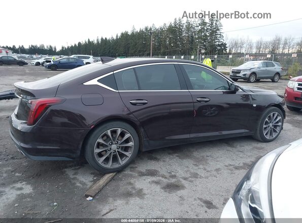 1G6DN5RK2M0112246 2021 CADILLAC CT5 Burgundy Սալոնի 360 աստիճան տեսք