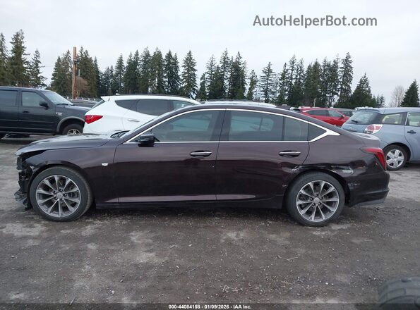 1G6DN5RK2M0112246 2021 CADILLAC CT5 Burgundy 