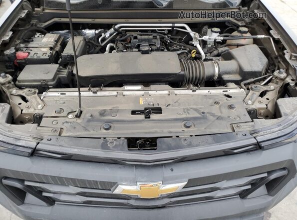 1GCGSBECXR1134559 2024 CHEVROLET COLORADO Brown Вид задньої частини салону