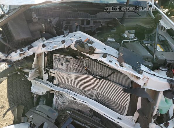 1GCGSDEN4N1331525 2022 CHEVROLET COLORADO White Rear interior view