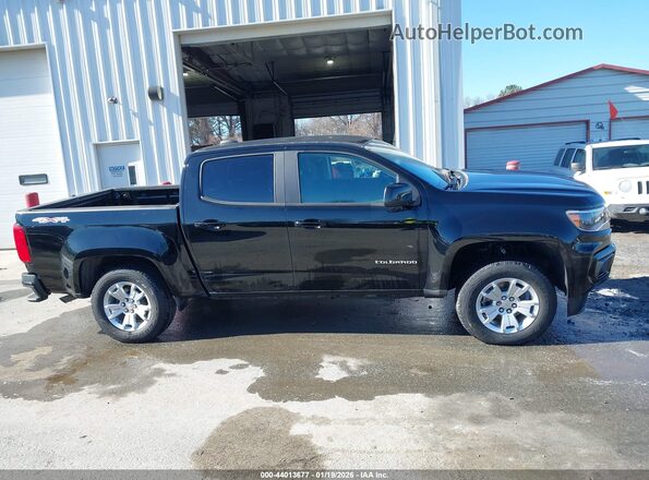 1GCGTCEN1N1246147 2022 CHEVROLET COLORADO Black Սալոնի հետևի տեսք